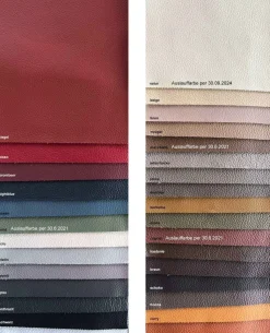 Atlantis Schlafsofa Leder
