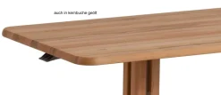 7888 Couchtisch höhenverstellbar Holz
