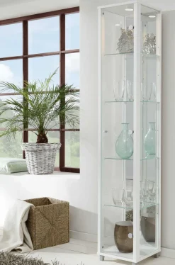 Glas Vitrine schmal in 7 Farben