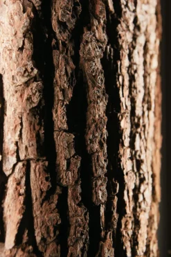 Hartmann Runa Garderobe Massivholz eiche