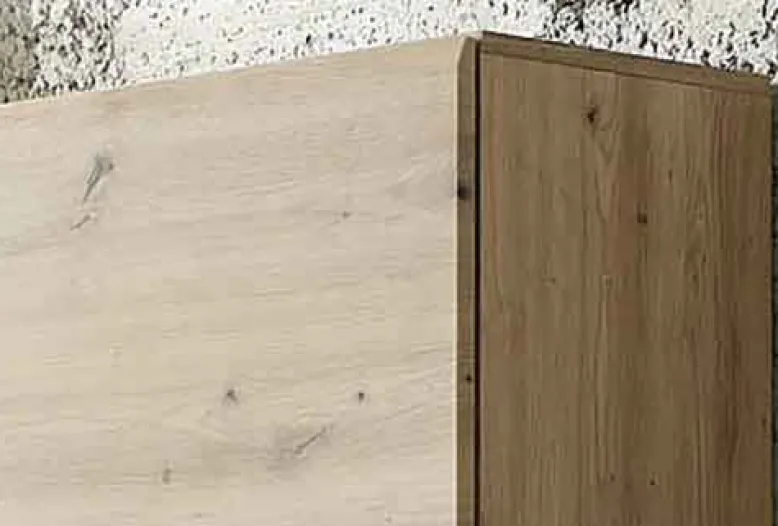 Madera Wohnwand eiche artisan