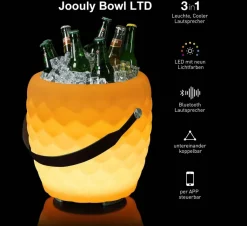 The Joouly Bowl
